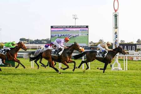 Actualités Hippiques